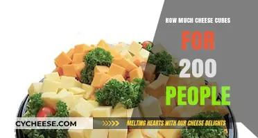 Cheese Cube Serving Guide: Perfect Portions for 200 Guests