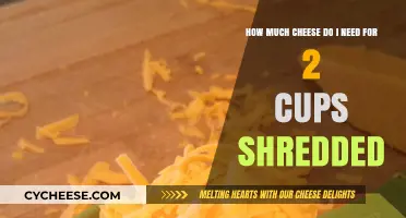 Perfect Cheese Measurements: How Much for 2 Cups Shredded?