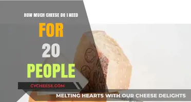 Perfect Cheese Portions: How Much to Serve 20 Guests