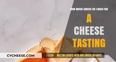 Perfect Cheese Tasting: How Much Cheese to Serve for a Memorable Experience