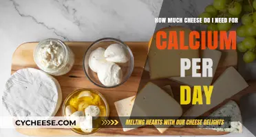 Daily Calcium Needs: How Much Cheese Should You Eat?