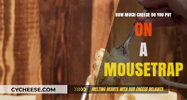 Perfect Cheese Portion for Mousetraps: Tips for Effective Rodent Control