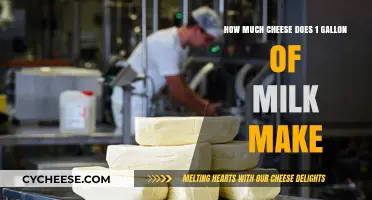 Cheese Yield Secrets: How Much Cheese Can 1 Gallon of Milk Produce?