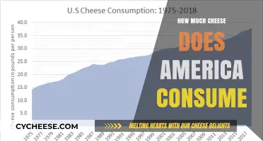 America's Cheese Obsession: Uncovering the Nation's Dairy Delight Consumption
