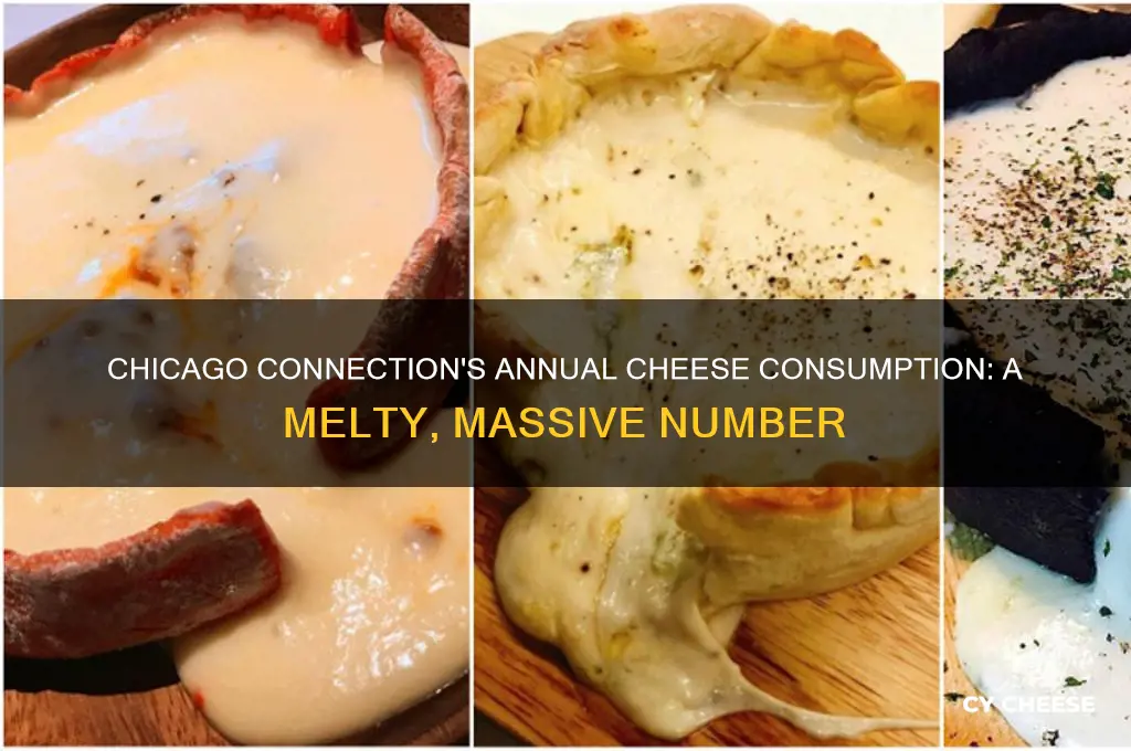 how much cheese does chicago connection use in a year