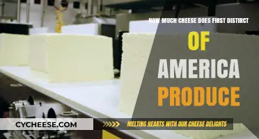 America's First District Cheese Production: Unveiling the Dairy Delights