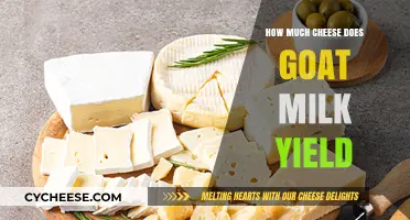 Goat Milk Cheese Yield: Maximizing Production from Your Dairy Goats
