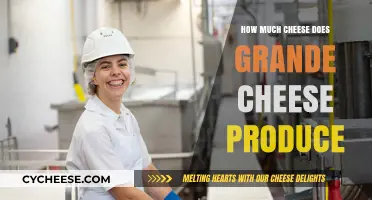 Grande Cheese Production: Uncovering Their Annual Cheese Output Secrets