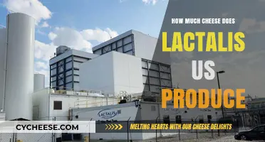 Lactalis US Cheese Production: Unveiling the Massive Output