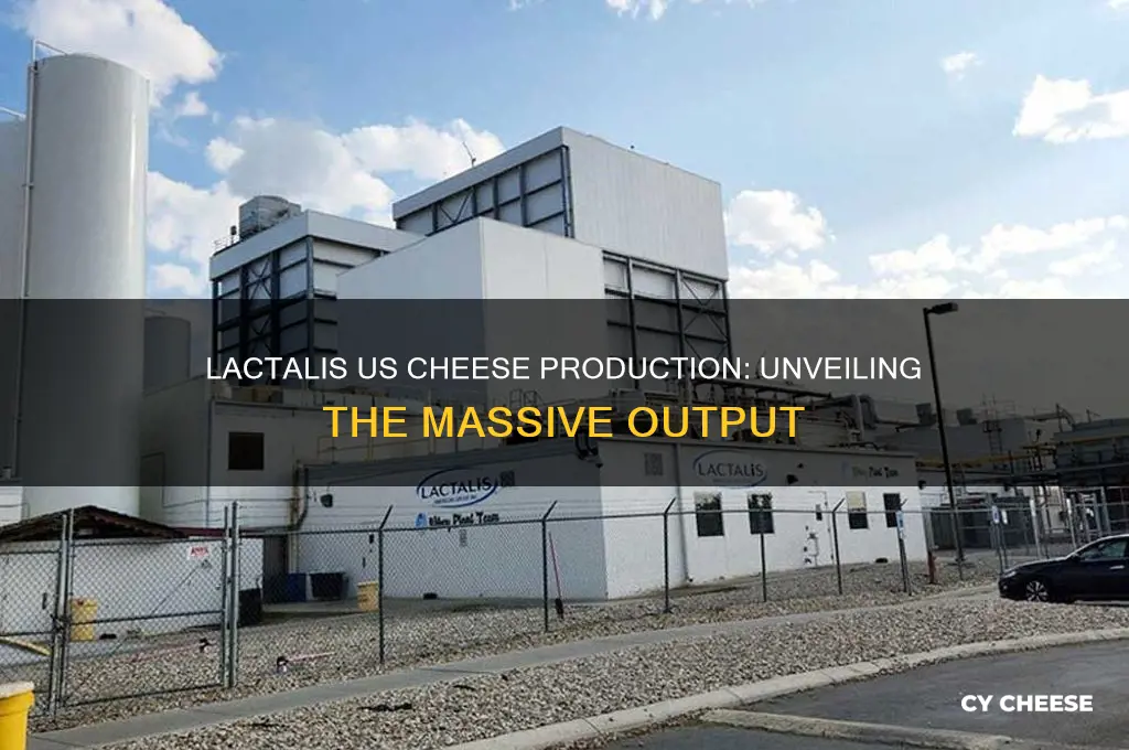 how much cheese does lactalis us produce