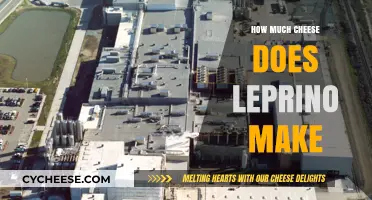 Leprino's Cheese Production: Unveiling the World's Largest Manufacturer