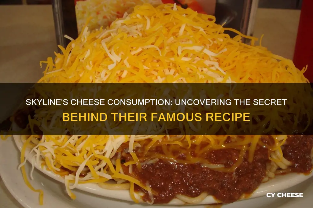 how much cheese does skyline use