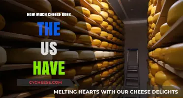 Exploring America's Cheese Reserves: How Much Does the US Have?