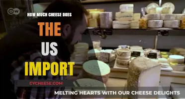 US Cheese Imports: How Much Does America Bring In?