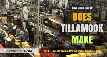 Tillamook's Cheese Production: Unveiling the Creamy, Melty Secrets