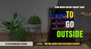 Cheese Storage Secrets: How Much Stays Fresh Indoors?