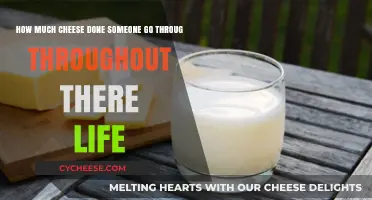 Lifetime Cheese Consumption: How Much Do People Really Eat?