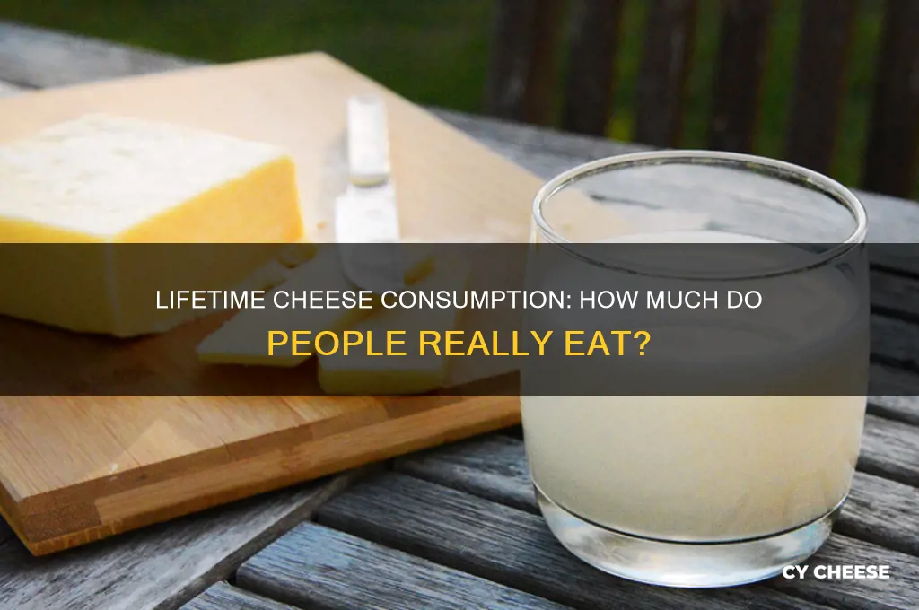 how much cheese done someone go throug throughout there life