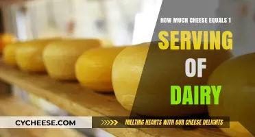 Cheese as Dairy: Understanding Serving Sizes for a Balanced Diet