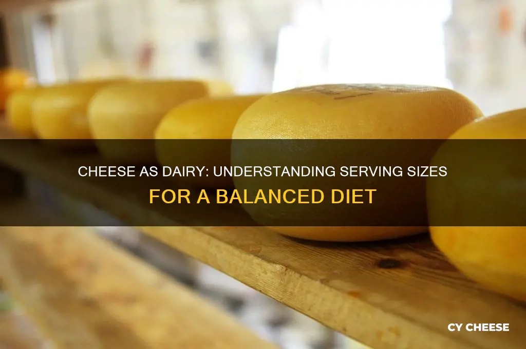 how much cheese equals 1 serving of dairy