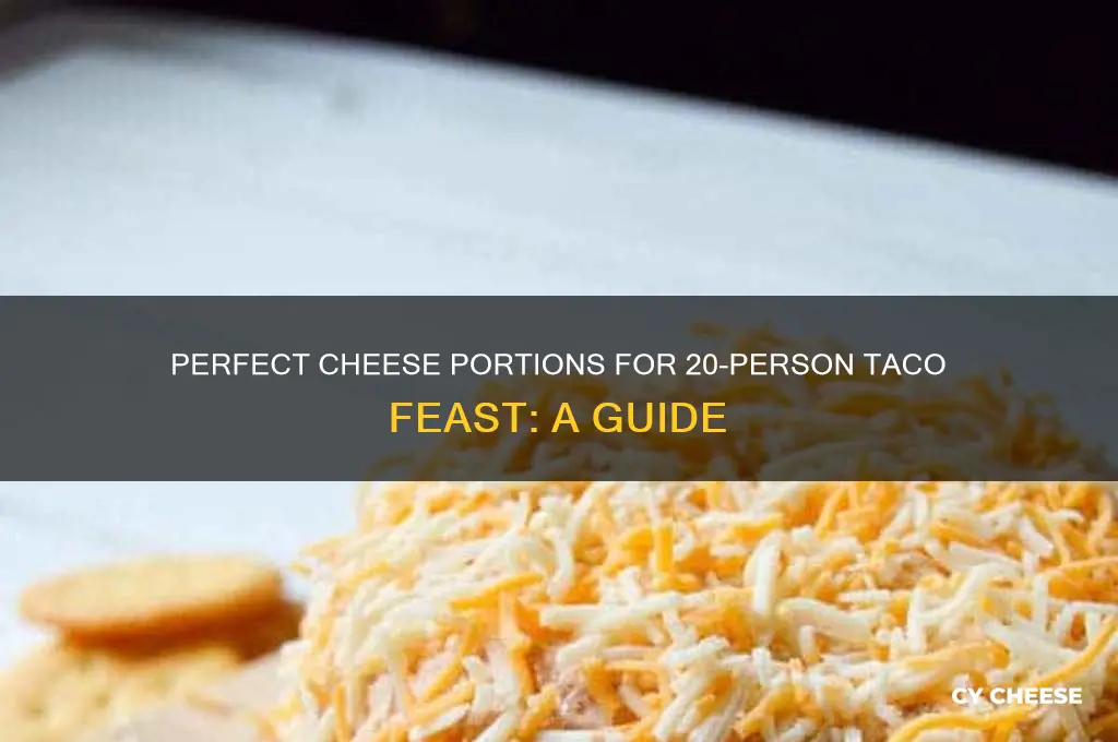 how much cheese for 20 people tacos