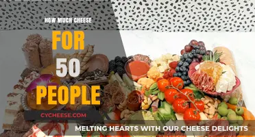 Perfect Cheese Portions: How Much to Serve 50 Guests Flawlessly