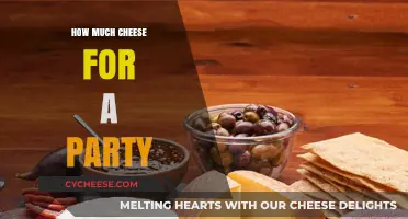 Perfect Party Cheese Quantities: A Guide to Delight Your Guests
