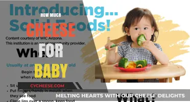 Introducing Cheese to Your Baby: Safe Amounts and Tips for Parents