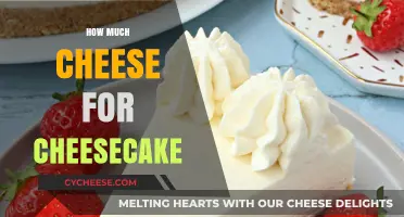 Perfect Cheesecake Cheese Ratio: Mastering Creamy Delight Every Time