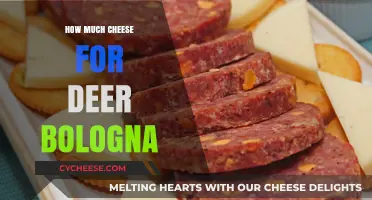 Perfect Cheese-to-Deer Bologna Ratio: A Guide for Savory Snacks