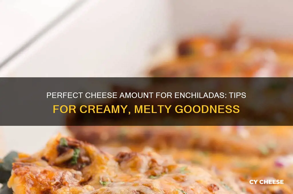 how much cheese for enchiladas