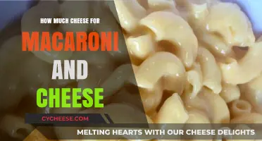 Perfect Mac and Cheese: Mastering the Ideal Cheese-to-Pasta Ratio