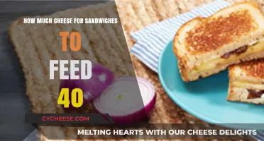 Perfect Cheese Portions for Sandwiches: Feeding 40 Guests Effortlessly