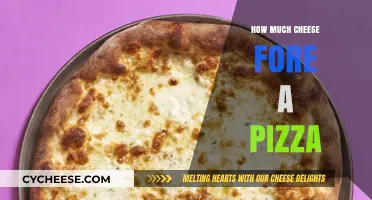 Perfect Pizza Cheese Ratio: How Much Cheese for a Pizza?