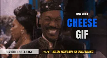 How Much Cheese GIF: The Hilarious Viral Sensation Explained