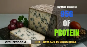 Cheese Protein Power: Unveiling 95g Protein Cheese Varieties