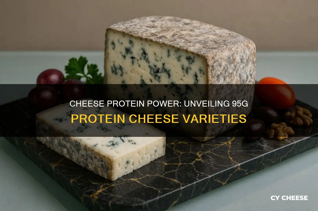how much cheese has 95g of protein