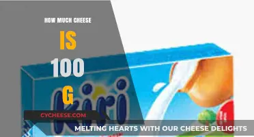 Measuring Cheese: Understanding the Portion Size of 100 Grams