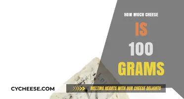 Measuring Cheese: Understanding the Portion Size of 100 Grams