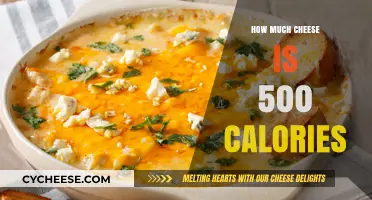 Cheese Calorie Count: How Much Cheese Equals 500 Calories?