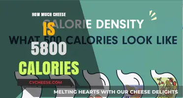 Cheese Calorie Countdown: Unwrapping 5800 Calories in Dairy Delight