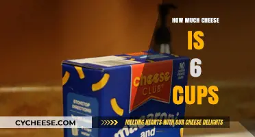 Measuring Cheese: How Much is 6 Cups in Weight and Volume?