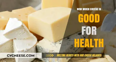 Cheese and Health: Balancing Taste, Nutrition, and Well-being