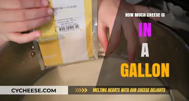 How Much Cheese Fits in a Gallon? Surprising Facts Revealed
