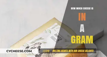 Understanding Cheese Measurements: How Much is a Gram of Cheese?