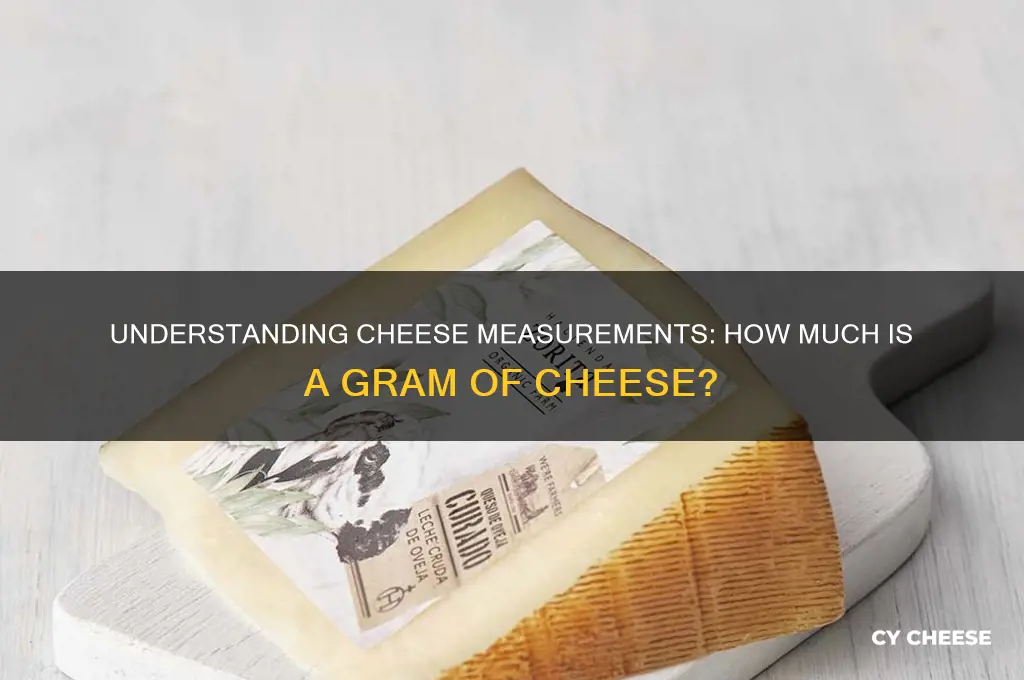 how much cheese is in a gram