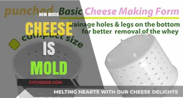 Understanding Mold in Cheese: How Much is Safe to Eat?