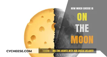 Lunar Cheese Mystery: Unraveling the Moon's Dairy-Free Surface