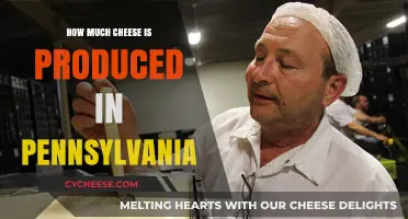 Pennsylvania's Cheese Production: A Look at the State's Dairy Output
