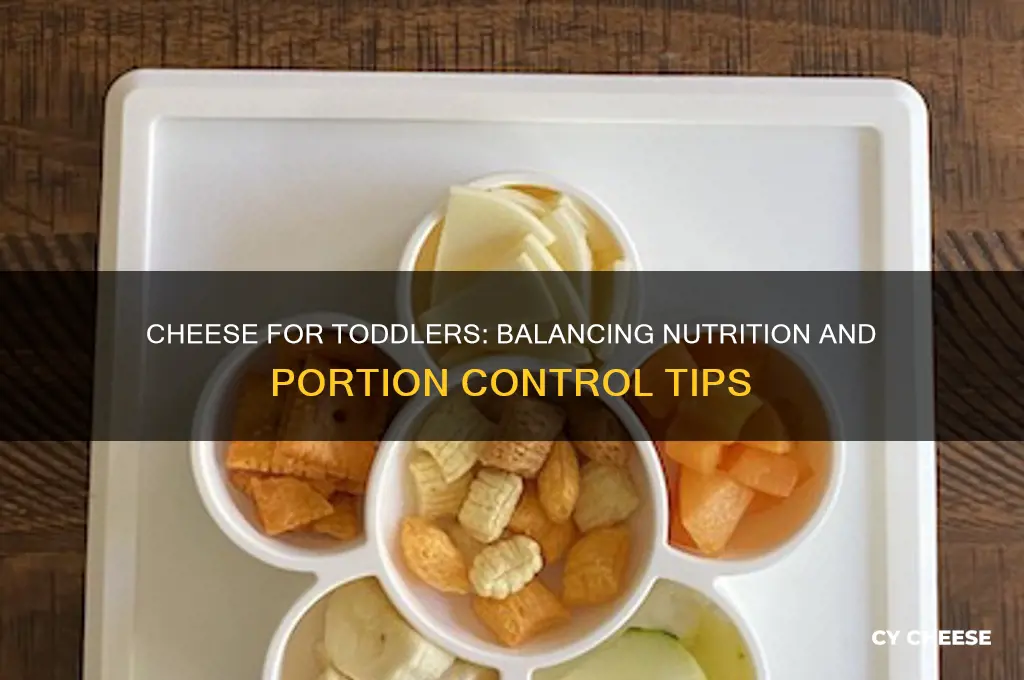 how much cheese is too much cheese for a toddler